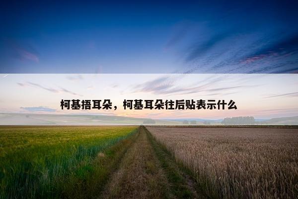 柯基捂耳朵，柯基耳朵往后贴表示什么