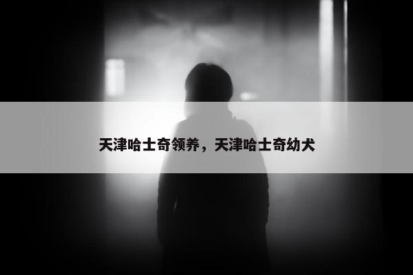 天津哈士奇领养，天津哈士奇幼犬