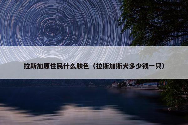 拉斯加原住民什么肤色（拉斯加斯犬多少钱一只）