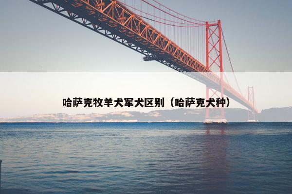 哈萨克牧羊犬军犬区别（哈萨克犬种）