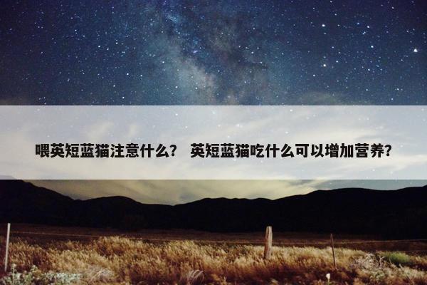 喂英短蓝猫注意什么？ 英短蓝猫吃什么可以增加营养？