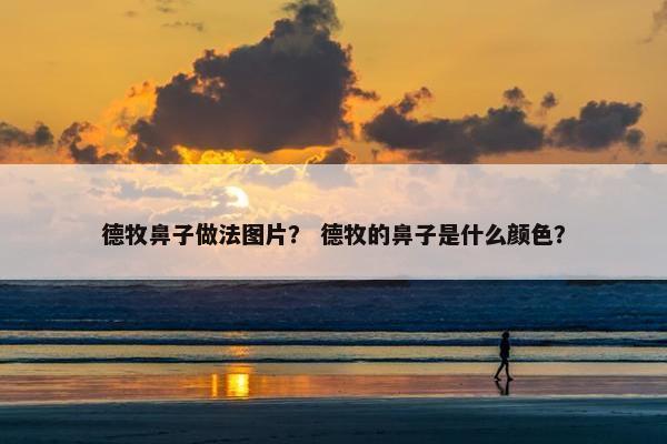 德牧鼻子做法图片？ 德牧的鼻子是什么颜色？