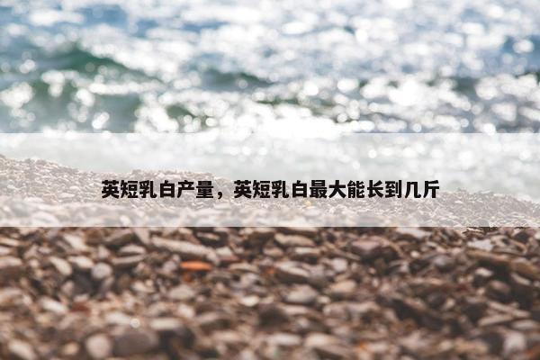 英短乳白产量，英短乳白最大能长到几斤