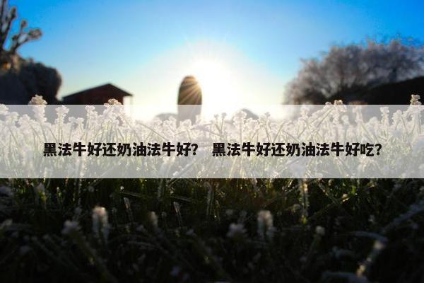 黑法牛好还奶油法牛好？ 黑法牛好还奶油法牛好吃？