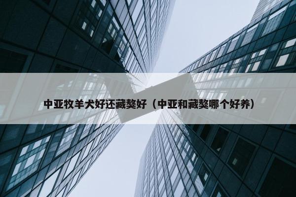 中亚牧羊犬好还藏獒好（中亚和藏獒哪个好养）