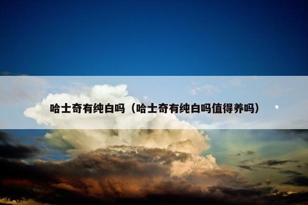 哈士奇有纯白吗（哈士奇有纯白吗值得养吗）