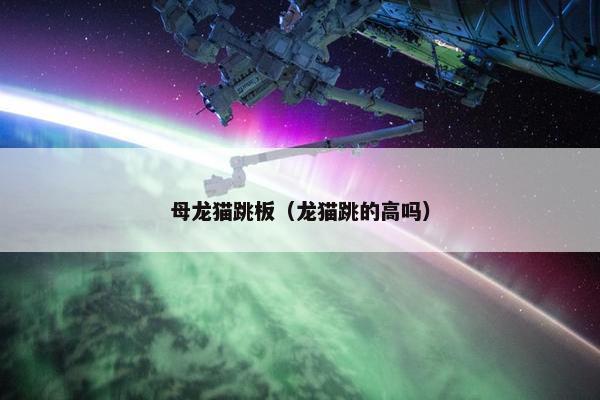 母龙猫跳板（龙猫跳的高吗）