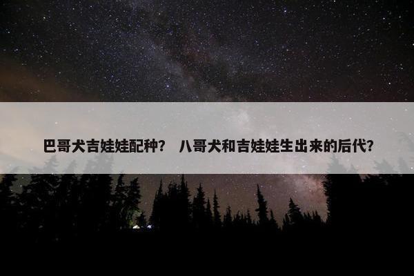 巴哥犬吉娃娃配种？ 八哥犬和吉娃娃生出来的后代？