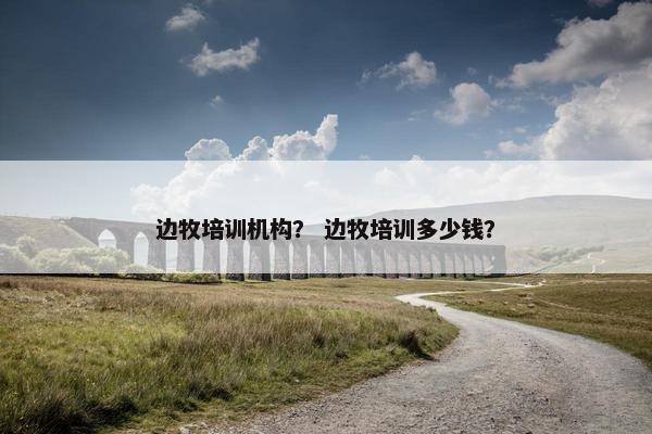 边牧培训机构？ 边牧培训多少钱？