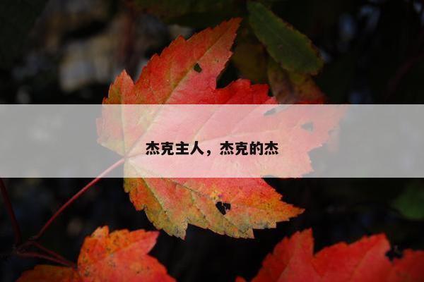 杰克主人，杰克的杰