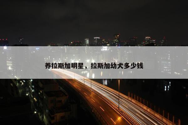 养拉斯加明星，拉斯加幼犬多少钱