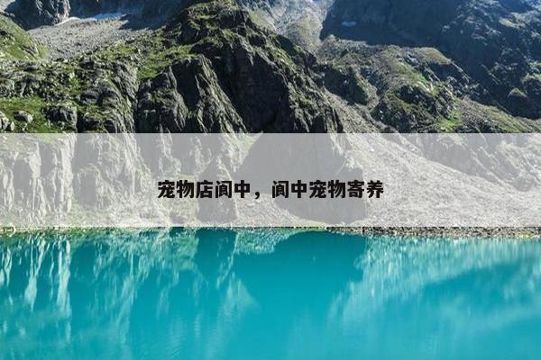 宠物店阆中，阆中宠物寄养