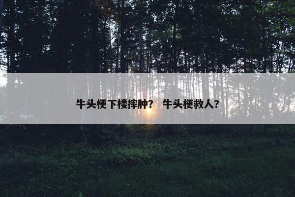 牛头梗下楼摔肿？ 牛头梗救人？