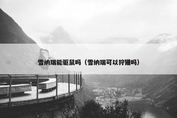 雪纳瑞能驱鼠吗（雪纳瑞可以狩猎吗）