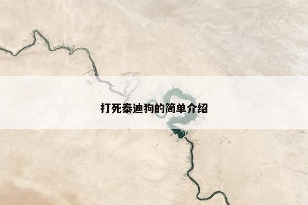 打死泰迪狗的简单介绍