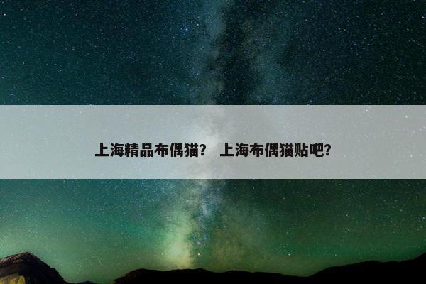 上海精品布偶猫？ 上海布偶猫贴吧？