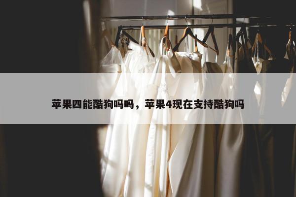 苹果四能酷狗吗吗，苹果4现在支持酷狗吗