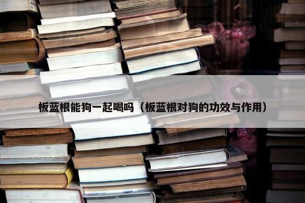 板蓝根能狗一起喝吗（板蓝根对狗的功效与作用）