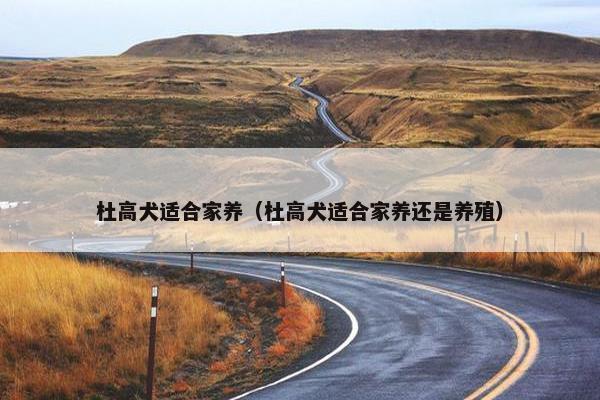 杜高犬适合家养（杜高犬适合家养还是养殖）