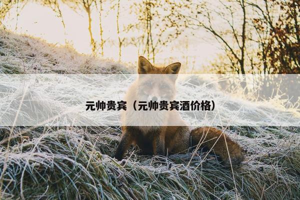 元帅贵宾（元帅贵宾酒价格）