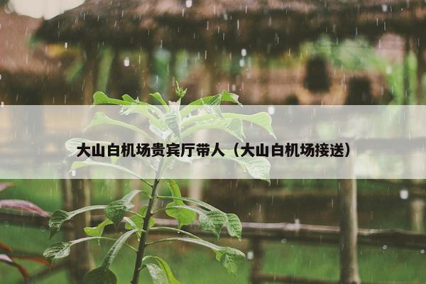 大山白机场贵宾厅带人（大山白机场接送）