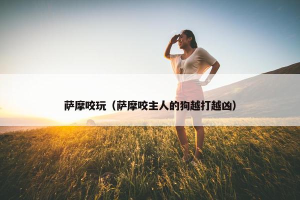 萨摩咬玩（萨摩咬主人的狗越打越凶）
