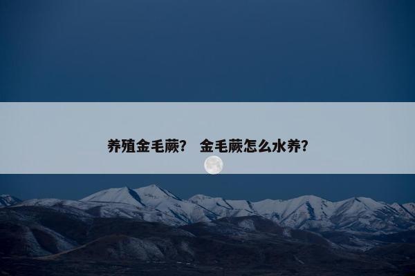 养殖金毛蕨？ 金毛蕨怎么水养？