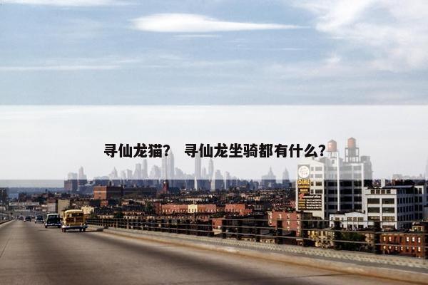 寻仙龙猫？ 寻仙龙坐骑都有什么？