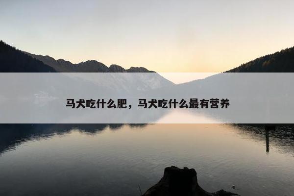 马犬吃什么肥，马犬吃什么最有营养