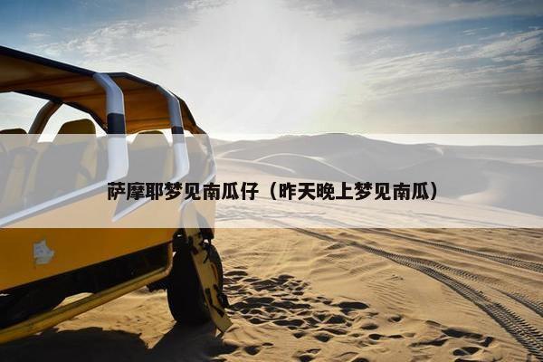 萨摩耶梦见南瓜仔（昨天晚上梦见南瓜）