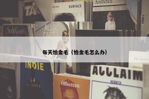 每天怕金毛（怕金毛怎么办）