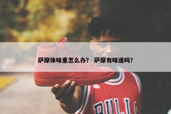 萨摩体味重怎么办？ 萨摩有味道吗？