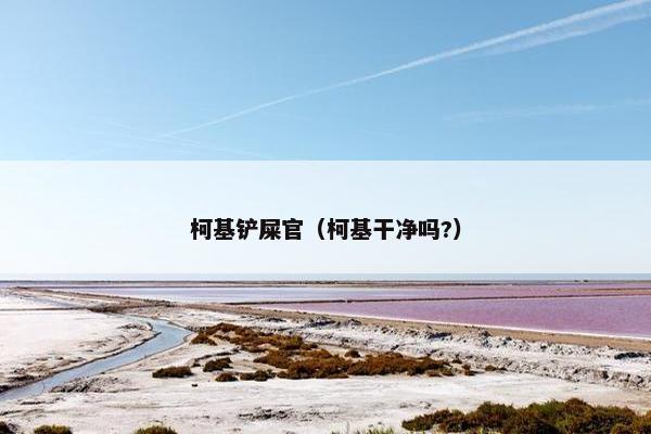 柯基铲屎官（柯基干净吗?）
