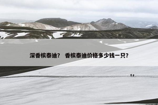 深香槟泰迪？ 香槟泰迪价格多少钱一只？