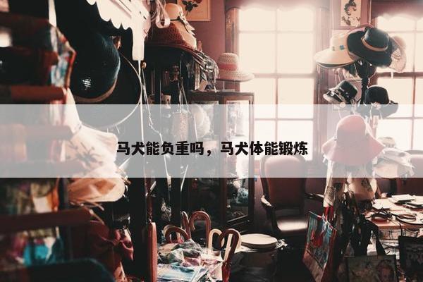 马犬能负重吗，马犬体能锻炼