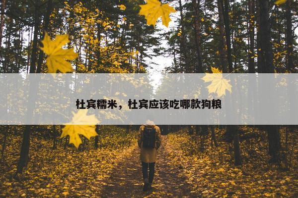 杜宾糯米，杜宾应该吃哪款狗粮