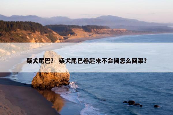 柴犬尾巴？ 柴犬尾巴卷起来不会摇怎么回事？