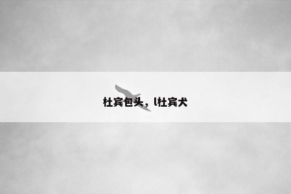 杜宾包头，l杜宾犬