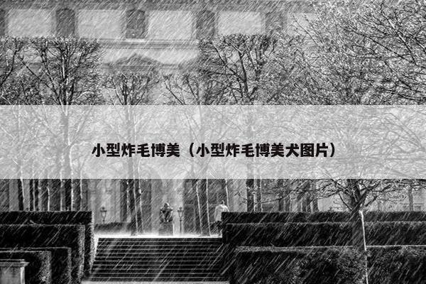 小型炸毛博美（小型炸毛博美犬图片）