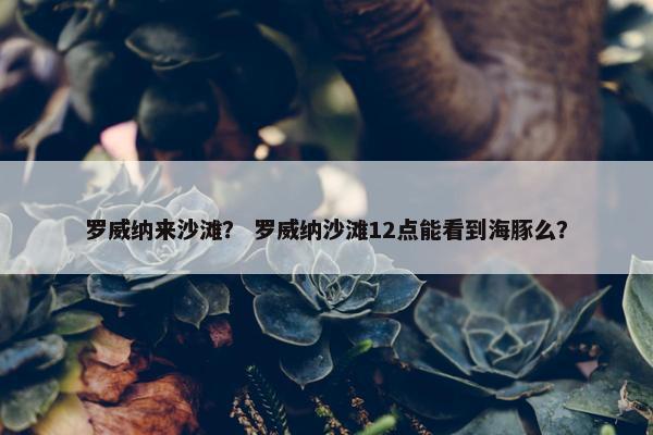罗威纳来沙滩？ 罗威纳沙滩12点能看到海豚么？