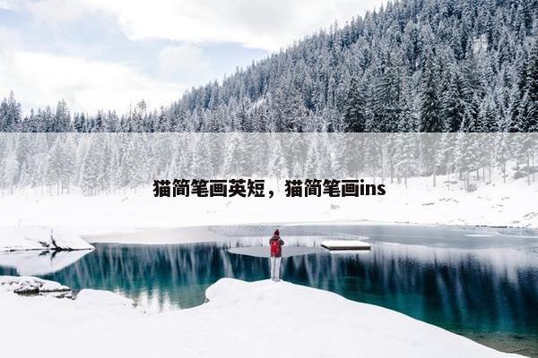 猫简笔画英短，猫简笔画ins