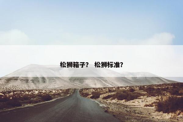 松狮箱子？ 松狮标准？