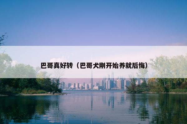 巴哥真好转（巴哥犬刚开始养就后悔）