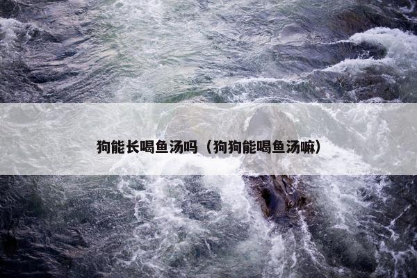 狗能长喝鱼汤吗（狗狗能喝鱼汤嘛）