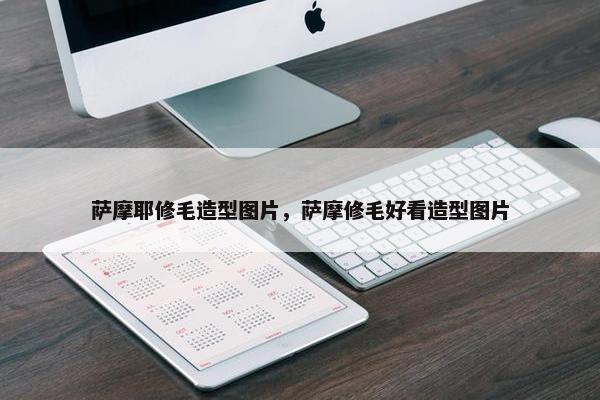 萨摩耶修毛造型图片，萨摩修毛好看造型图片