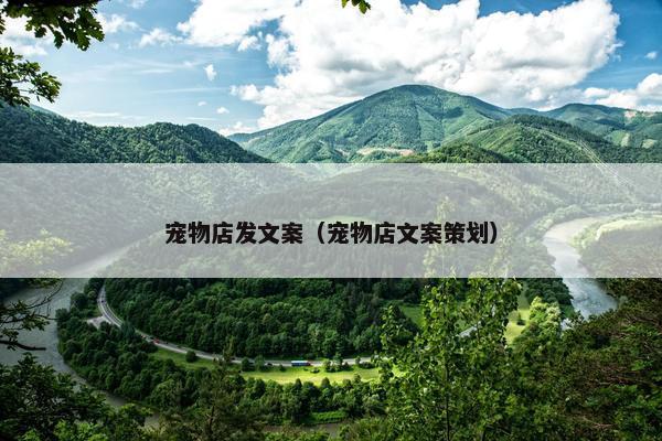 宠物店发文案（宠物店文案策划）