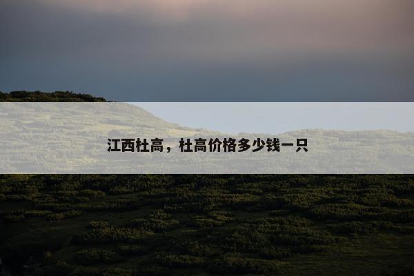 江西杜高，杜高价格多少钱一只