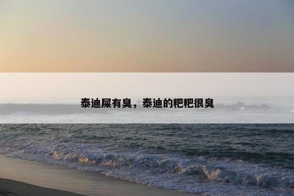 泰迪屎有臭，泰迪的粑粑很臭