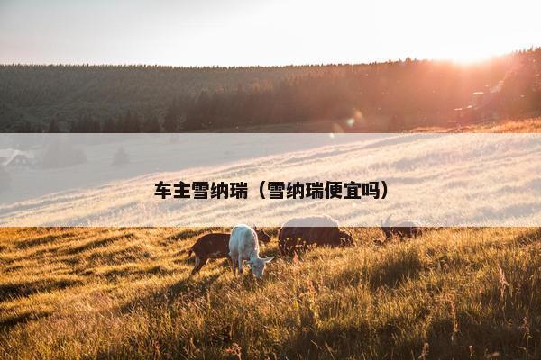 车主雪纳瑞（雪纳瑞便宜吗）