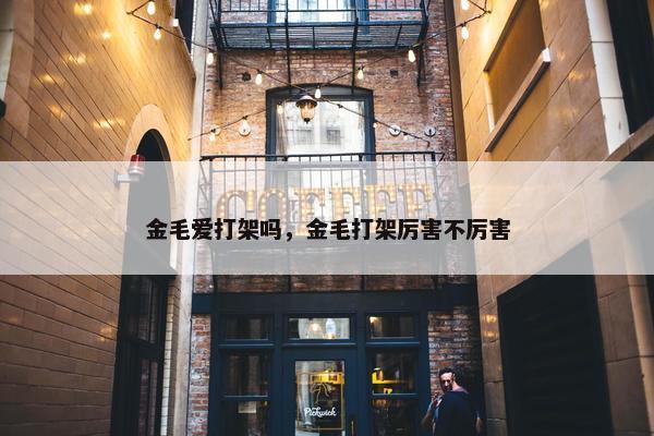 金毛爱打架吗，金毛打架厉害不厉害